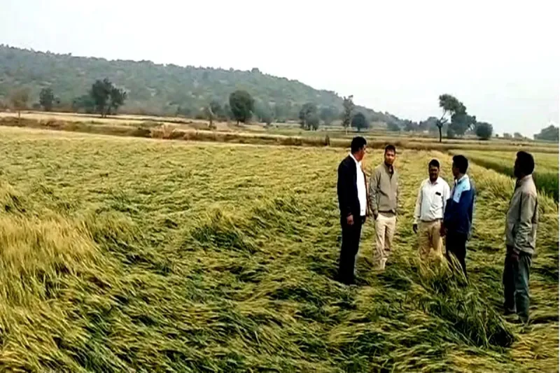 Home Mawatha in Ratlam, worry on one hand new system is becoming active